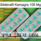 Sildénafil Kamagra 100 Mg 29